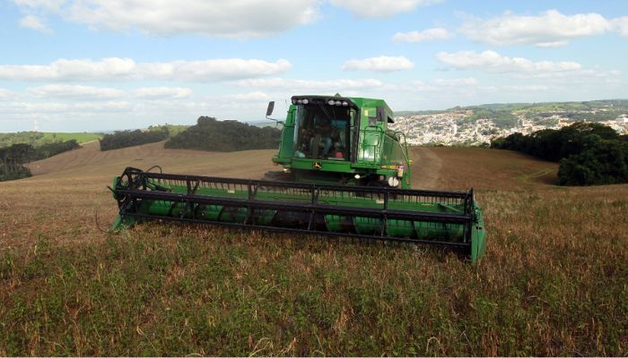  Paraná tem participação fundamental para aumento da safra de feijão no País